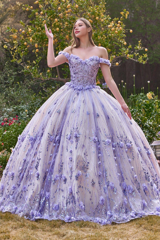 Princess Dress Off Shoulder Quinceanera Dress Ball Gown Party Dress with Appliques