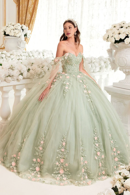 Sparkling Sage Floral Blush Ball Gown Quinceanera Dress Ball Gown Quinceanera Dresses Princess Dress Party Dress with Cape