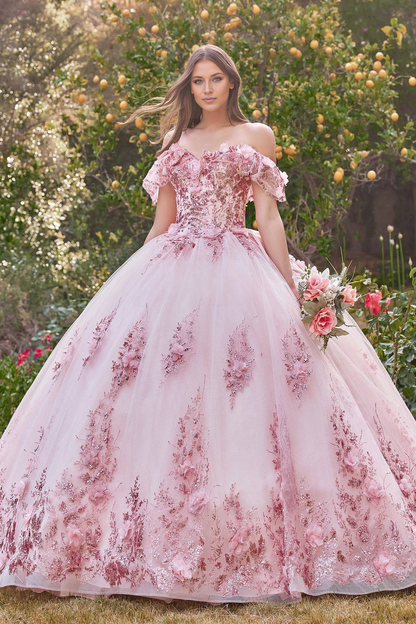 Sparkling Quinceanera Ball Gown Princess Dress Floor Length Sleeveless Off Shoulder with Appliques