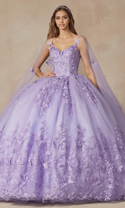 Quinceañera Dress with Sheer Cape Ball Gown Quinceanera Dresses Princess Dress with Appliques