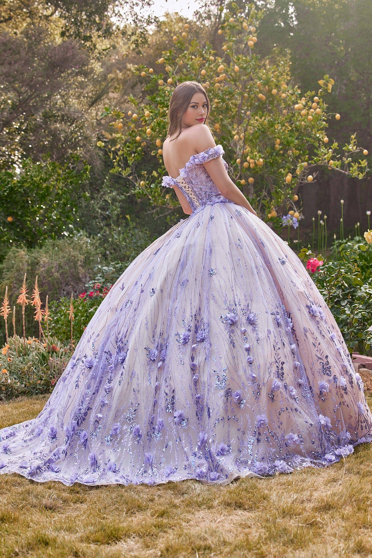 Princess Dress Off Shoulder Quinceanera Dress Ball Gown Party Dress with Appliques