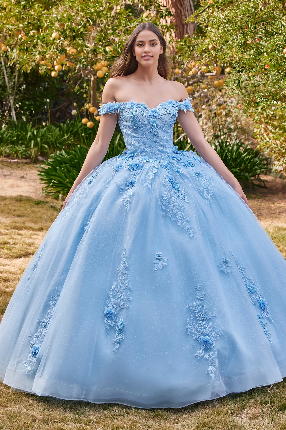 Off Shoulder Quinceanera Dresses Princess Dress Performance Party Dress with Crystals Appliques