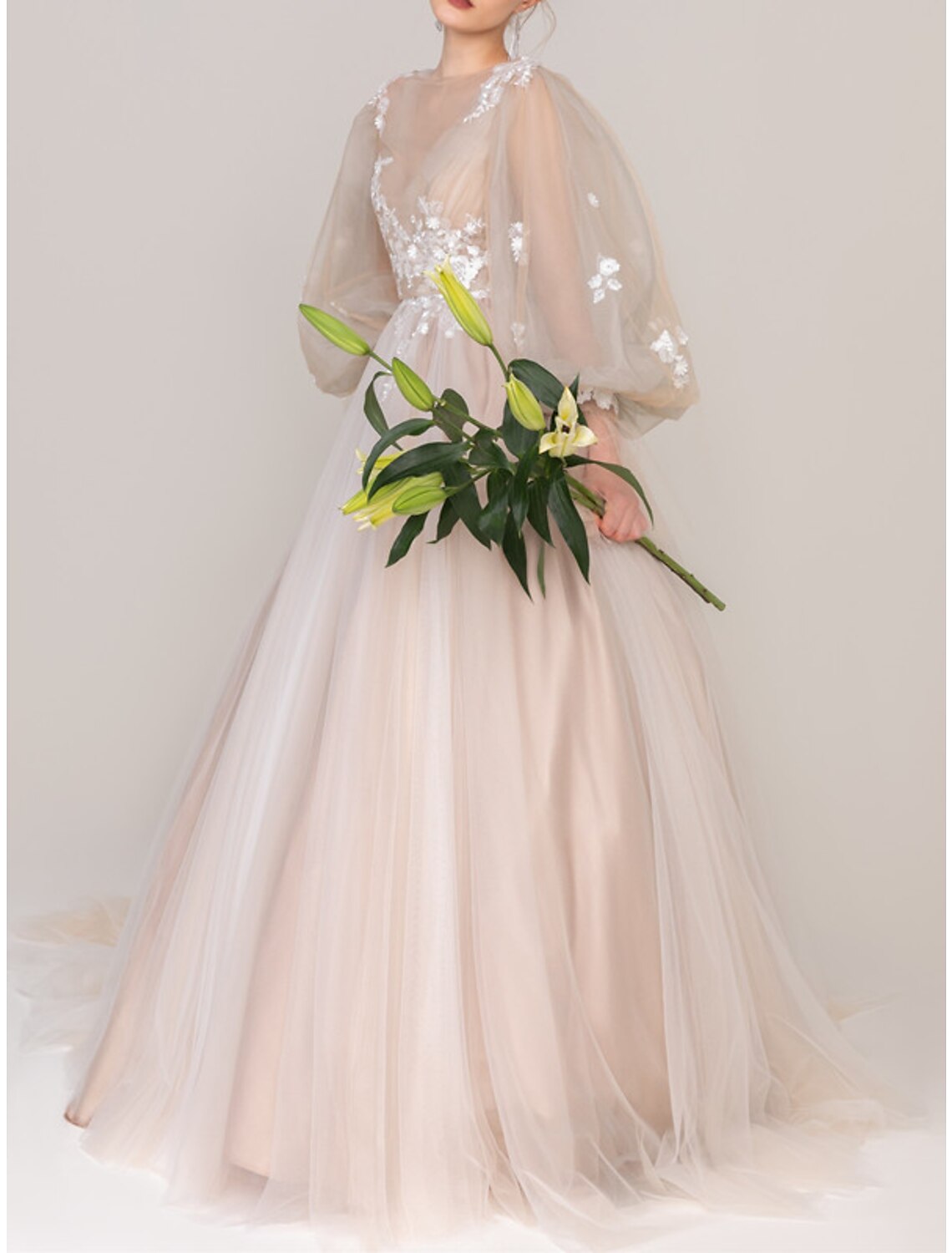 A-Line Floral Princess Prom Dress Jewel Neck Long Sleeve Court Train Tulle with Pleats Appliques