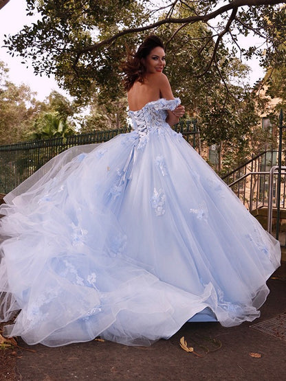 Ball Gown Tulle Applique Off-the-Shoulder Sleeveless Sweep/Brush Train Dresses